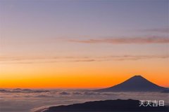 水仙花不能在家养吗