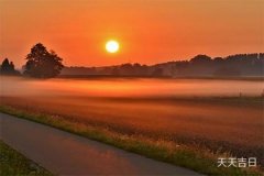 水仙花放在卧室里对身体好吗