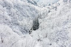 阳台紧挨着卫生间的风水效应及布局详解