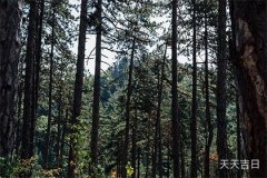五行缺水的男孩取名宝典 三步挑字法