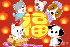 属狗几点出生有官运，你知道吗？