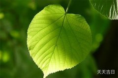 五行属水和木的女孩名字 水木相生这样配