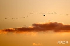 阳台放什么东西最好，打造舒适宜人的阳台空间